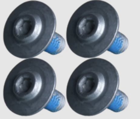 EO Mounting Screw Steel