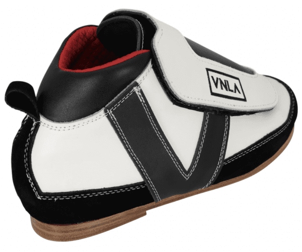 EvolutionBoot3