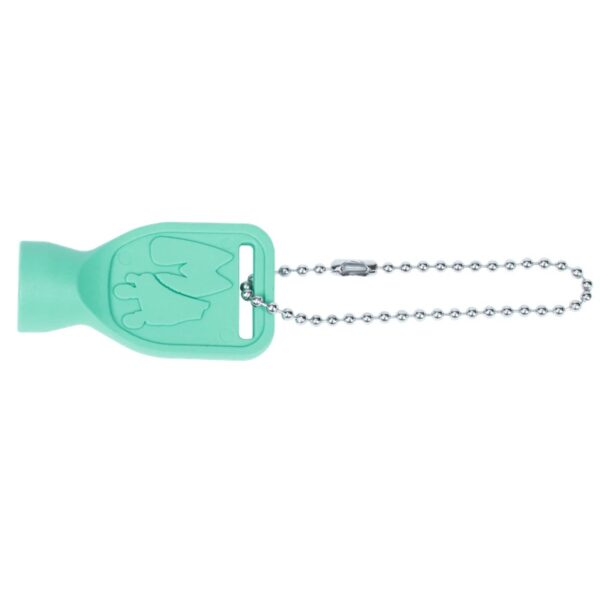 MoxiViceVersaSkateToolTeal 1min 1080xcopy